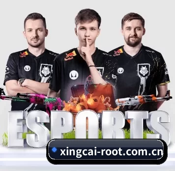 杏彩体育 APP 界面(XINGCAI SPORTS)